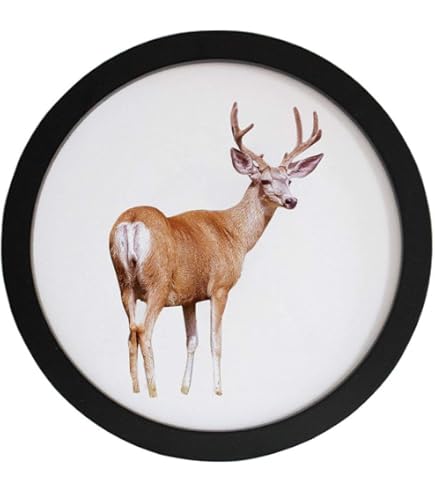 オッパフォトフレーム(大) Chululu（チュルル）フォトフレーム P01 L／KG（ハガキ）／2Lサイズ